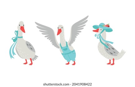 Gänsecharakter mit Band und Hut mit Spread Wings Vector Set