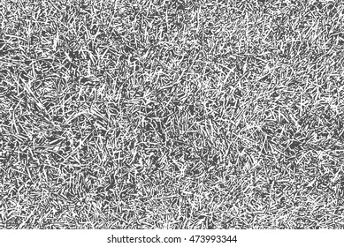 Grey grass texture. Nature background. Vector illustration.