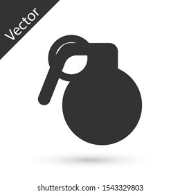Grey Hand grenade icon isolated on white background. Bomb explosion.  Vector Illustration
