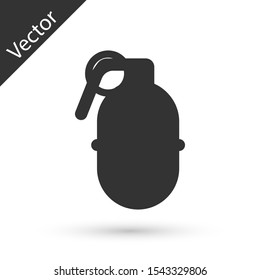 Grey Hand grenade icon isolated on white background. Bomb explosion.  Vector Illustration