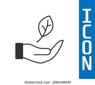 Grey Hand hold a leaf of the plant icon isolated on white background. Care nature. Leaf shoots with environmental protection.  Vector
