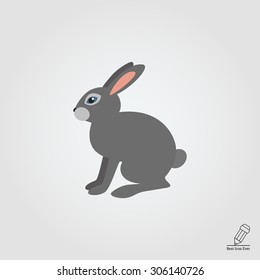 Grey hare icon