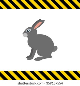 Grey hare icon