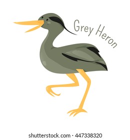 Grey heron isolated on white. Ardea cinerea. Long-legged predatory wading bird of the heron family, Ardeidae. Child fun pattern icon. Part of series of various bird species. Wildlife concept. Vector