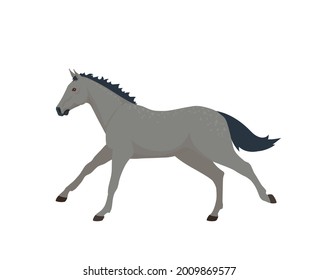 Grey horse run. Vector illustration