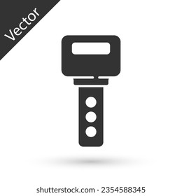 Grey House key icon isolated on white background.  Vector