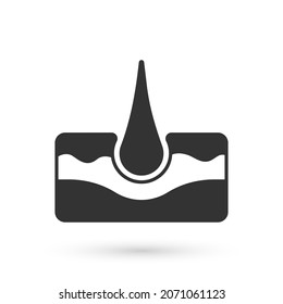 Grey Human hair follicle icon isolated on white background. Hair care treatment.  Vector