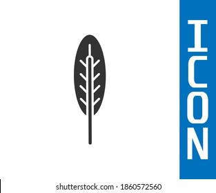 Grey Indian feather icon isolated on white background. Native american ethnic symbol feather.  Vector