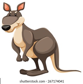 A grey kangaroo on white background