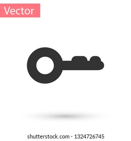 Grey Key icon isolated on white background. Vector Illustration