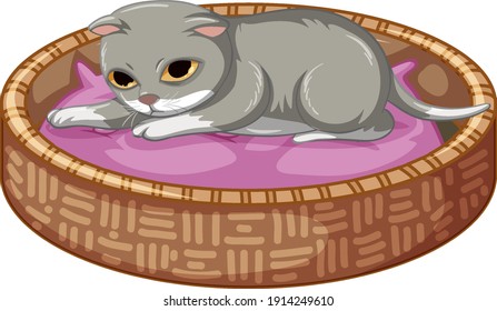 Grey kitten laying on his bed on white background illustration