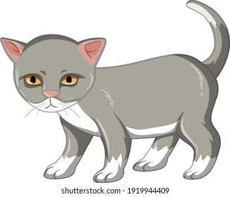 Grey kitten standing alone isolated on white background illustration