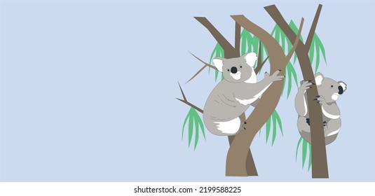 Grey koala bear isolated on wood branch with green leaves. Australian marsupial animal that eat only eucalyptus sitting on tropical tree trunk. Vector illustration of herbivorous koala