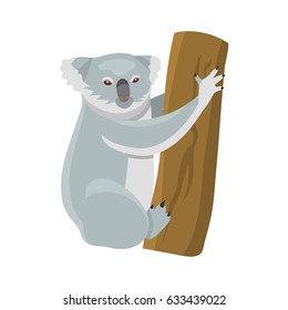 Grey koala bear isolated on wood branch australian marsupial animal that eat only eucalyptus vector.