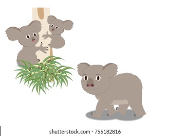 
 Grey Koala Bear with Two Baby Koala Bears - Cartoon Vector Image