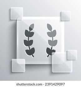 Grey Laurel wreath icon isolated on grey background. Triumph symbol. Square glass panels. Vector