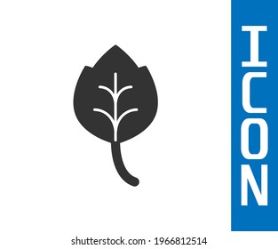 Grey Leaf icon isolated Grey background. Leaves sign. Fresh natural product symbol.  Vector