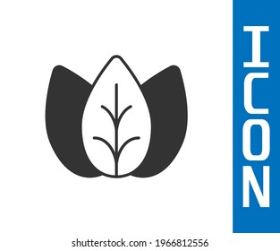 Grey Leaf icon isolated Grey background. Leaves sign. Fresh natural product symbol.  Vector