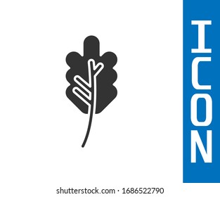 Graues Leaf-Symbol einzeln auf weißem Hintergrund. Bleischild. Symbol für frisches Naturprodukt. Vektorillustration-Illustration
