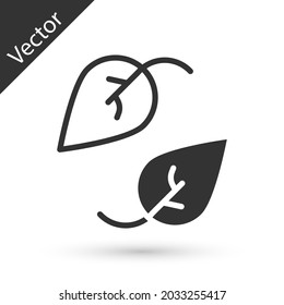 Icono de la hoja gris aislado en fondo blanco. Deja la señal. Símbolo de producto natural fresco.  Vector