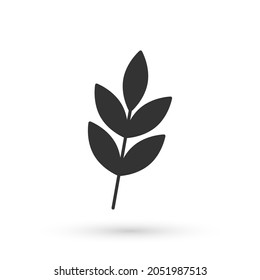 Grey Leaf icon isolated on white background. Leaves sign. Fresh natural product symbol.  Vector