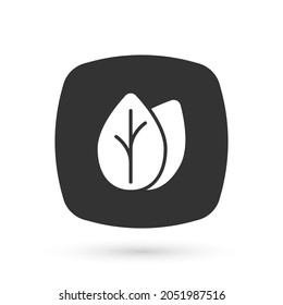 Icono de la hoja gris aislado en fondo blanco. Deja la señal. Símbolo de producto natural fresco.  Vector