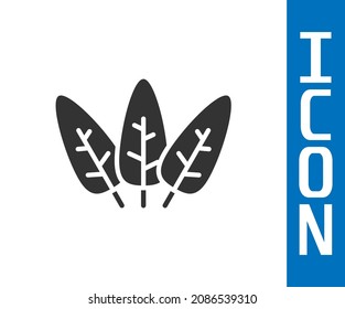 Grey Leaf icon isolated on white background. Leaves sign. Fresh natural product symbol.  Vector