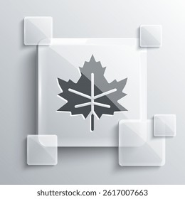 Grey Leaf icon isolated on grey background. Leaves sign. Fresh natural product symbol. Square glass panels. Vector