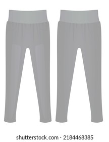 Grey  legging tight pants. vector illustration