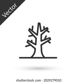 Grey line Bare tree icon isolated on white background.  Vector