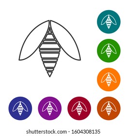 Grey line Bee icon isolated on white background. Sweet natural food. Honeybee or apis with wings symbol. Flying insect. Set icons in color circle buttons. Vector Illustration