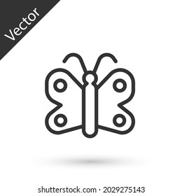 Grey line Butterfly icon isolated on white background.  Vector