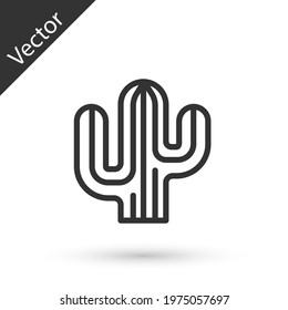 Grey line Cactus icon isolated on white background.  Vector