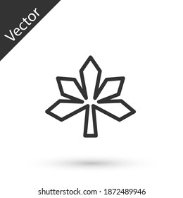 Icono de hoja de castaño de línea gris aislado en fondo blanco. Vector.