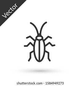 Grey line Cockroach icon isolated on white background.  Vector Illustration