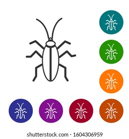 Grey line Cockroach icon isolated on white background. Set icons in color circle buttons. Vector Illustration