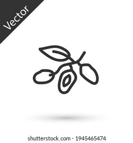 Grey line Date fruit icon isolated on white background. Vector