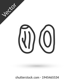Grey line Date fruit icon isolated on white background. Vector