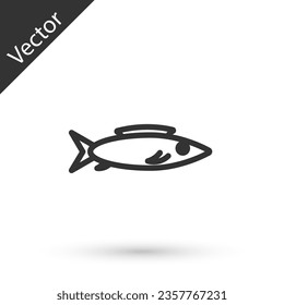 Grey line Fish icon isolated on white background.  Vector