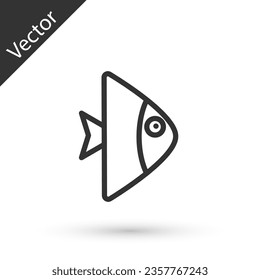 Grey line Fish icon isolated on white background.  Vector