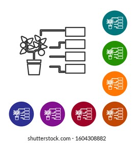 Grey line Flower analysis icon isolated on white background. Set icons in color circle buttons. Vector Illustration