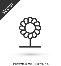 Grey line Flower icon isolated on white background.  Vector Illustration