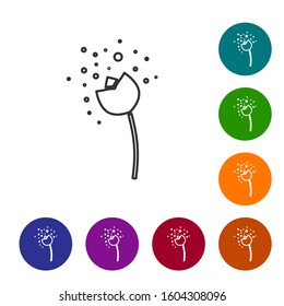 Grey line Flower producing pollen in atmosphere icon isolated on white background. Set icons in color circle buttons. Vector Illustration