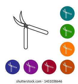 Grey line Gardening handmade scissors for trimming icon isolated on white background. Pruning shears with wooden handles. Set icon in color circle buttons. Vector Illustration