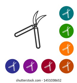 Grey line Gardening handmade scissors for trimming icon isolated on white background. Pruning shears with wooden handles. Set icon in color circle buttons. Vector Illustration