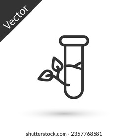 Grey line Laboratory glass and leaves icon isolated on white background. Chemical test tube with leaf. Eco Lab.  Vector