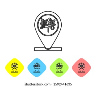 Grey line Location and tree icon isolated on white background. Set icons in color rhombus buttons. Vector Illustration
