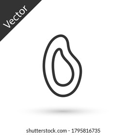 Grey line Mussel icon isolated on white background. Fresh delicious seafood. Vector.