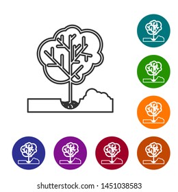 Grey line Planting a tree in the ground icon isolated on white background. Gardening, agriculture, caring for environment. Set icon in color circle buttons. Vector Illustration