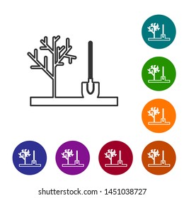 Grey line Planting a tree in the ground icon isolated on white background. Gardening, agriculture, caring for environment. Set icon in color circle buttons. Vector Illustration